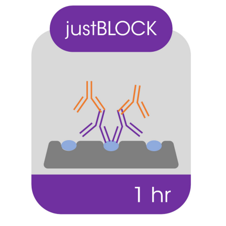 Image of  EZEE JUSTBLOCK