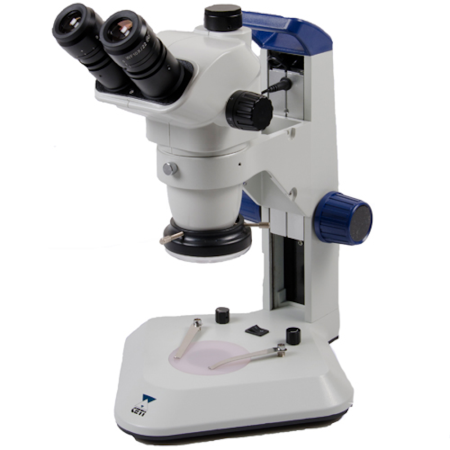 Image of  Steddy-T