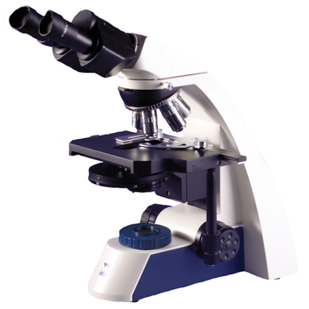 Image of  Magnum