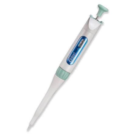 Image of  Pearl Adjustable