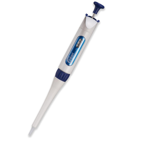Image of  Pearl Adjustable