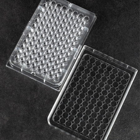Image of  Microplate