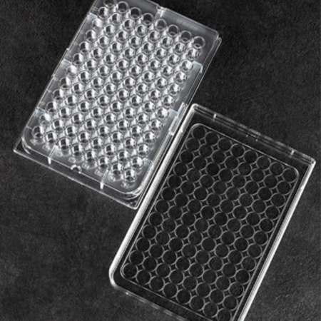 Image of  Microplate