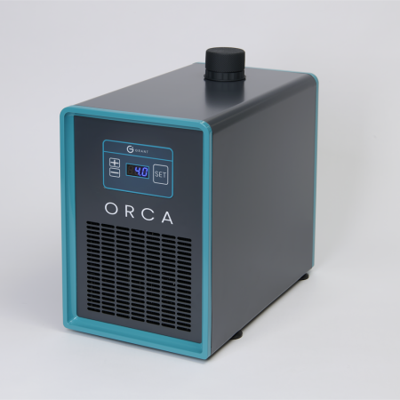 Image of  ORCA