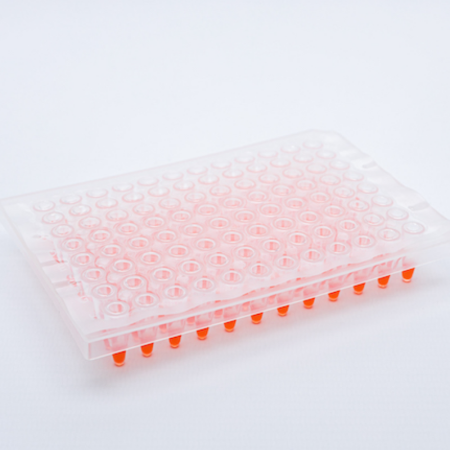 Image of  ClearASeal Peel