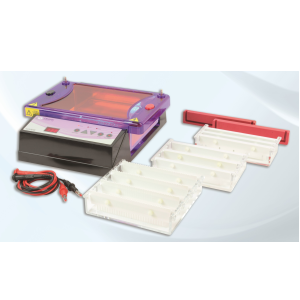 Image of  runVIEW choice 15